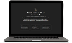 Analista Senior PPC (GPT 1.0)